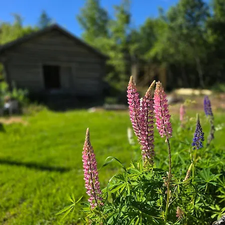 Stockboden Kvarken Off Grid No Electricity Or Running Water Alpehytte *