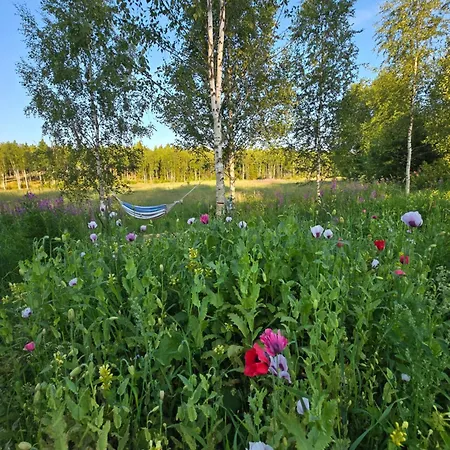 Stockboden Kvarken Off Grid No Electricity Or Running Water Alpehytte *
